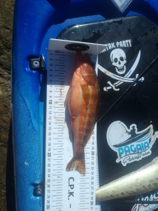 Fish Measure Picture